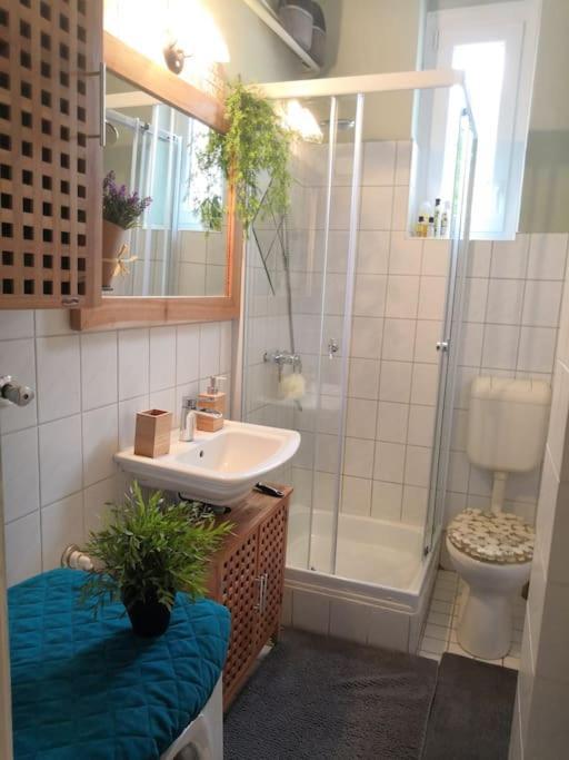 Apartamento Park *